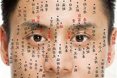 面相 男